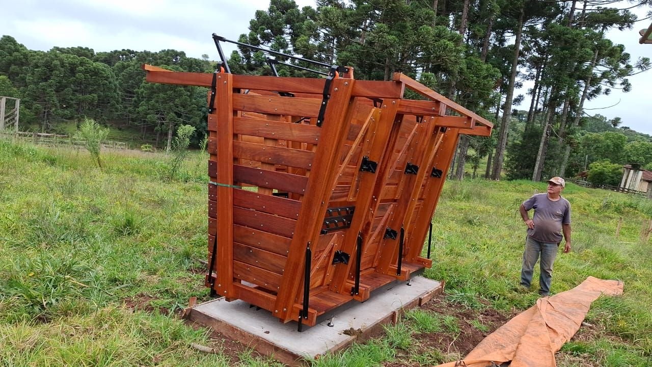 Campo com araucárias na região da fábrica